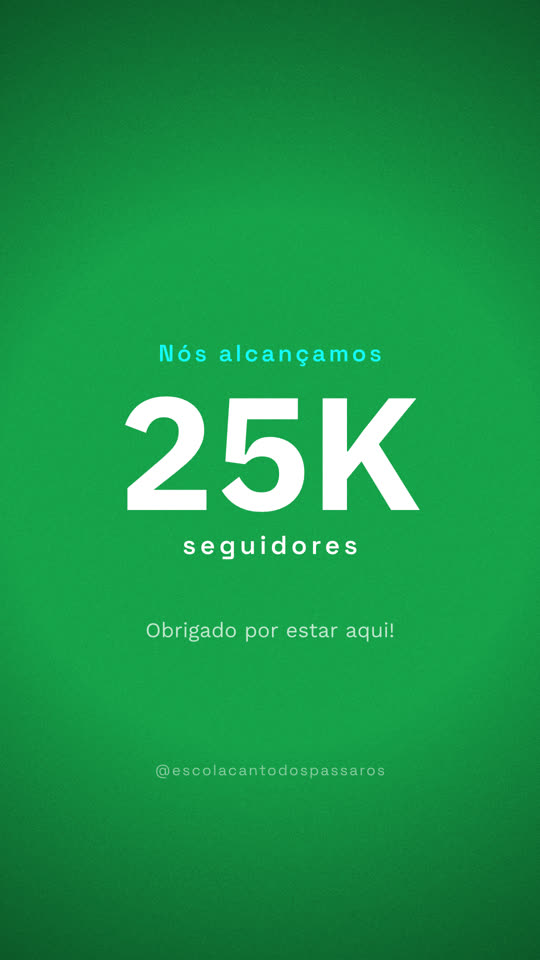 Milestone — a motion graphic by Thaís Moreira